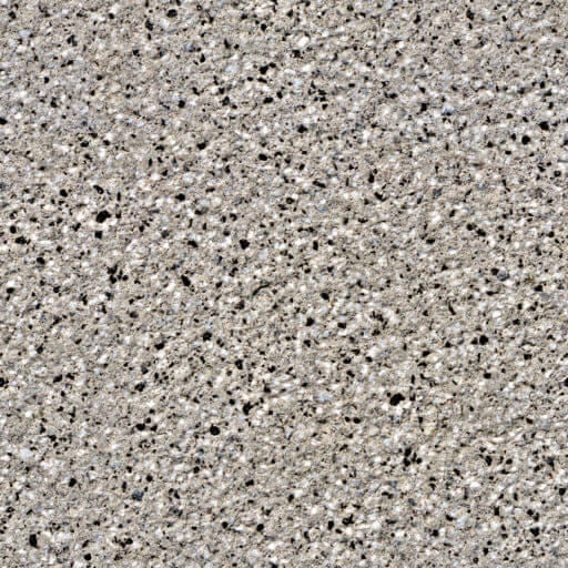 Marble stone grain decorative wall - seamless texture