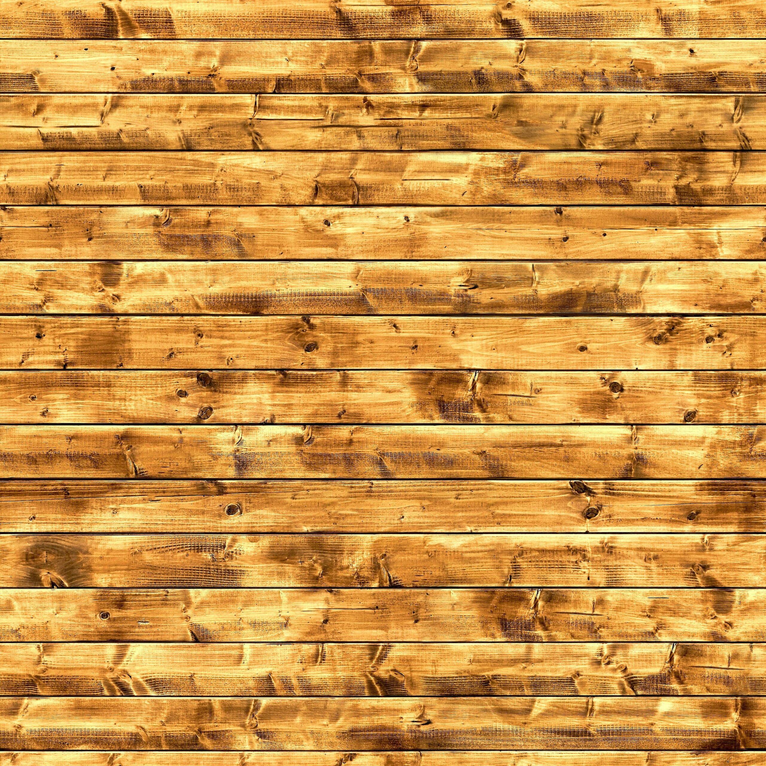 carbonized wood - seamless texture