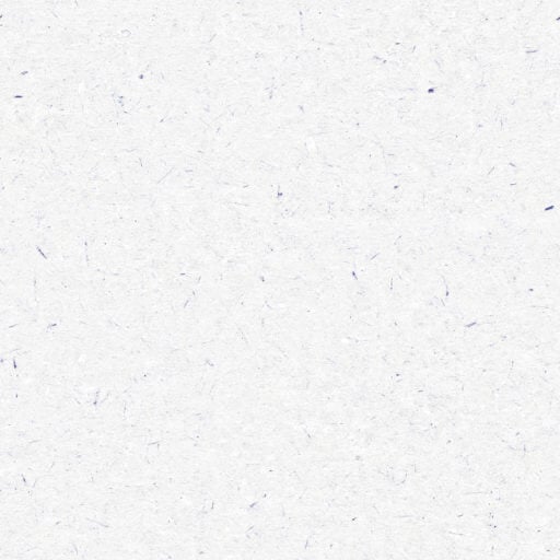 White seamless paper texture with fibers