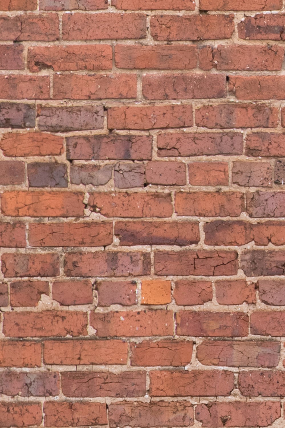 brick wall texture close-up