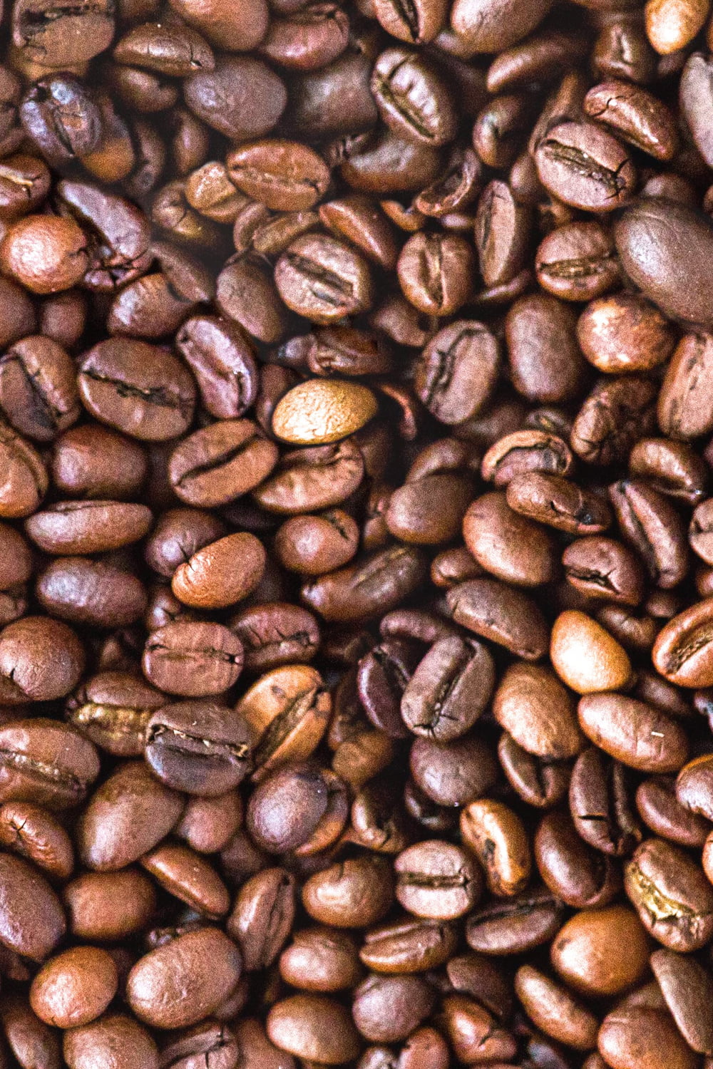 roasted coffee beans close-up