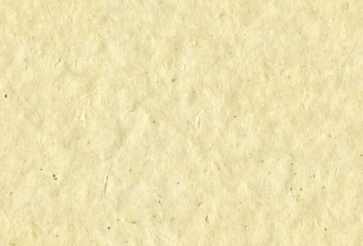 Rough paper seamless texture