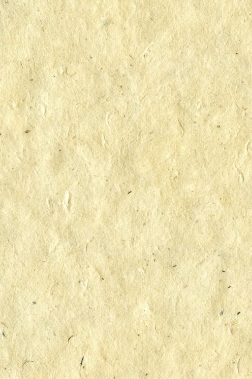 Rough paper – Free Seamless Textures