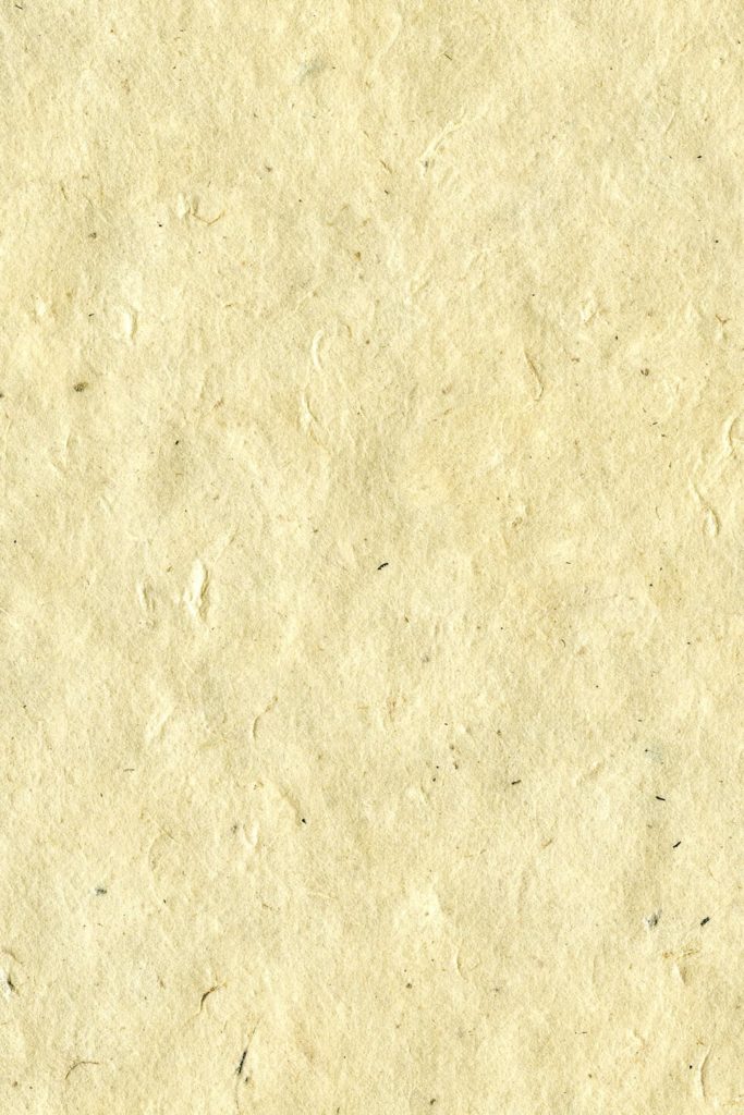 Rough paper – Free Seamless Textures - All rights reseved