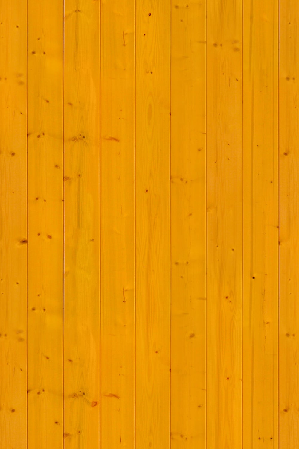 Maple light grain wooden panel flooring seamless texture close-up