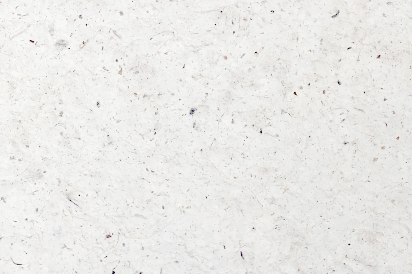 Close-up of an uneven handmade white paper with lots of threads and specks