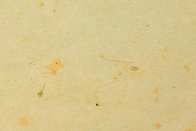 Close-up of a handmade paper with plant bits