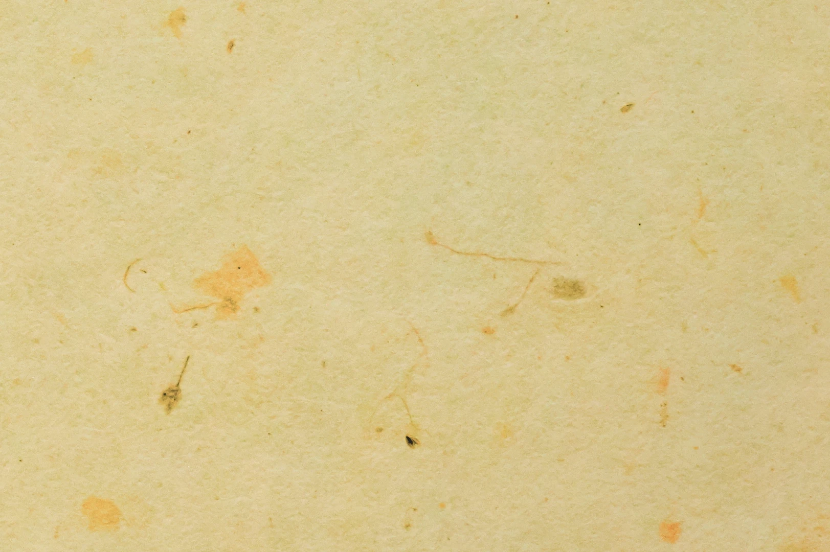 Close-up of a handmade paper with plant bits