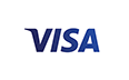 visa payment badge