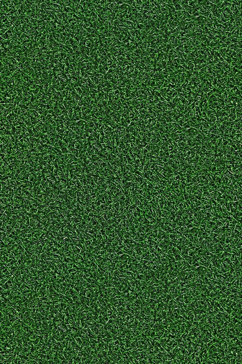 Fresh Dark Green Grass