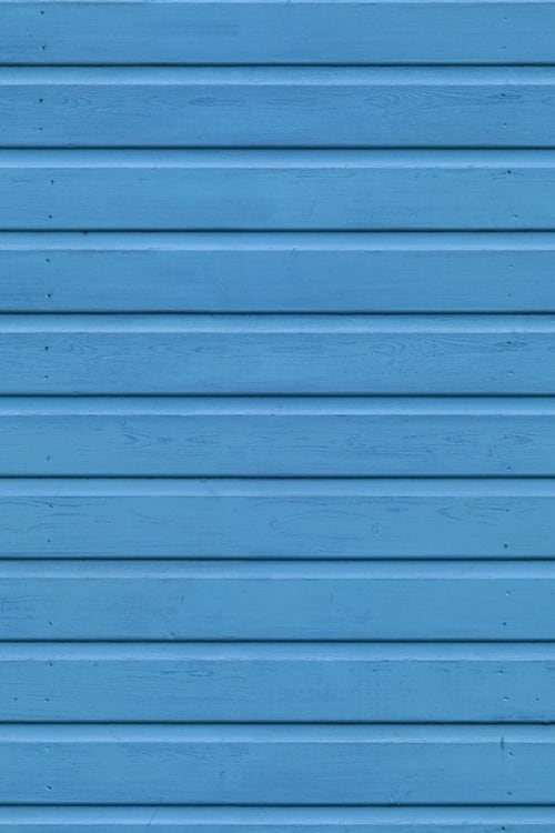 Exterior Painted Wood Paneling
