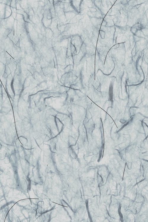 Handmade Paper with Hair and Fibers