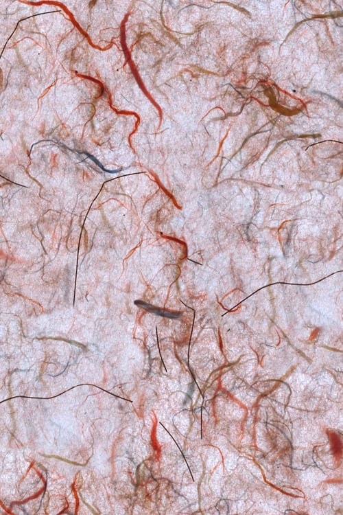 Handmade Paper with Textile Fibers
