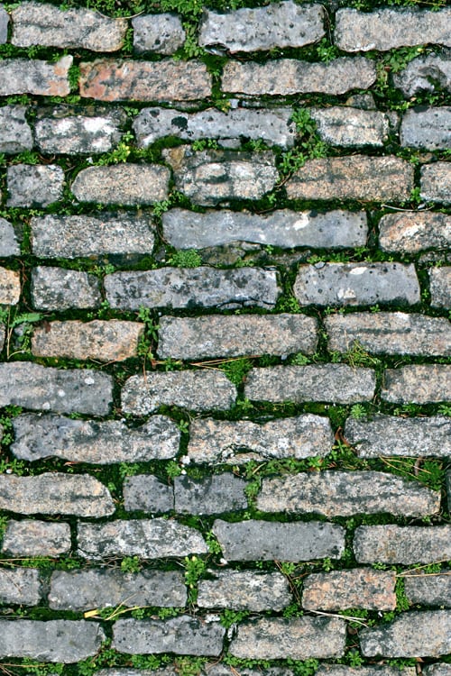 Rectangular Stone Pavement with Grass