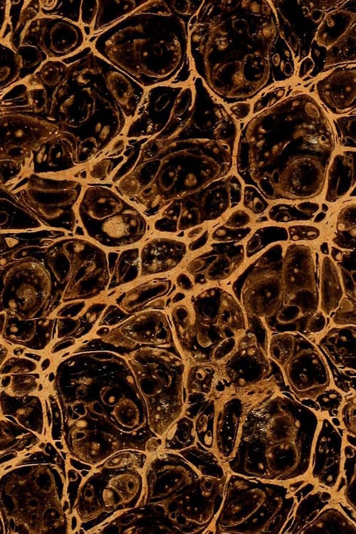 Marbled Book Cover