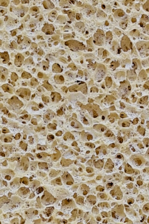 Body Wash Sponge