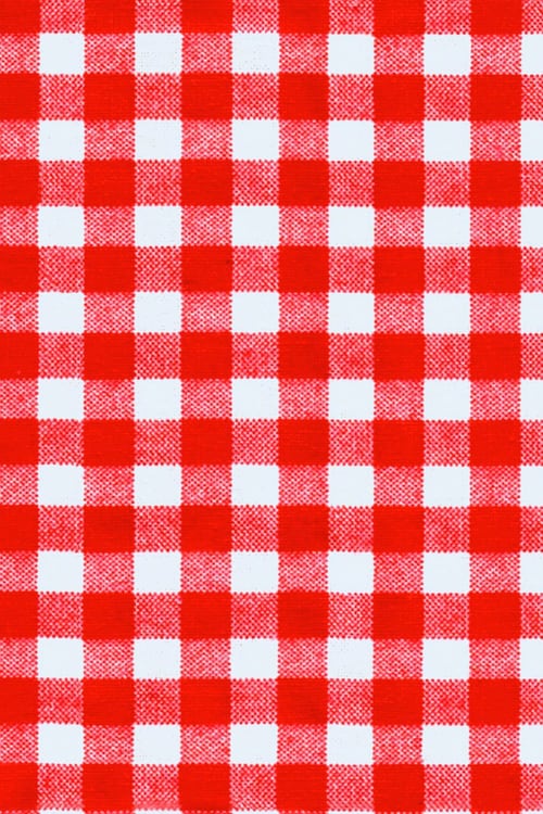 Close-up of a red and white checkered fabric