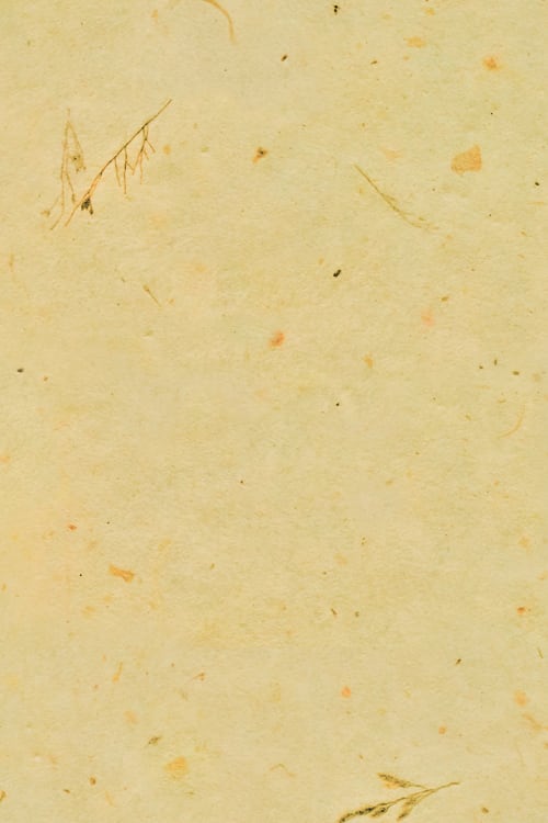 Handmade Paper with Plant Bits