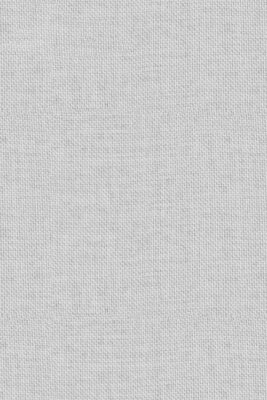 Close-up of a white couch upholstery fabric