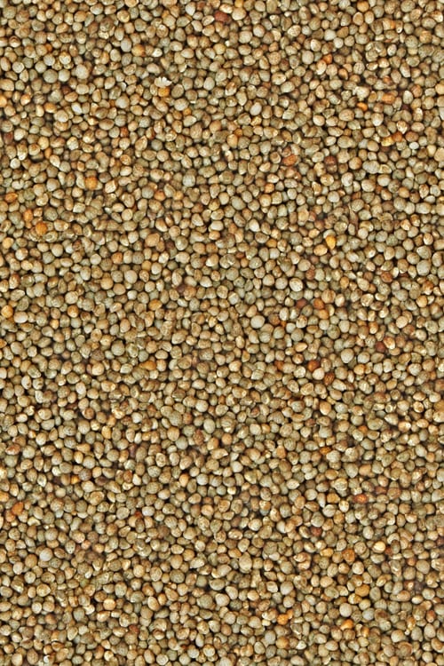Perilla Seeds