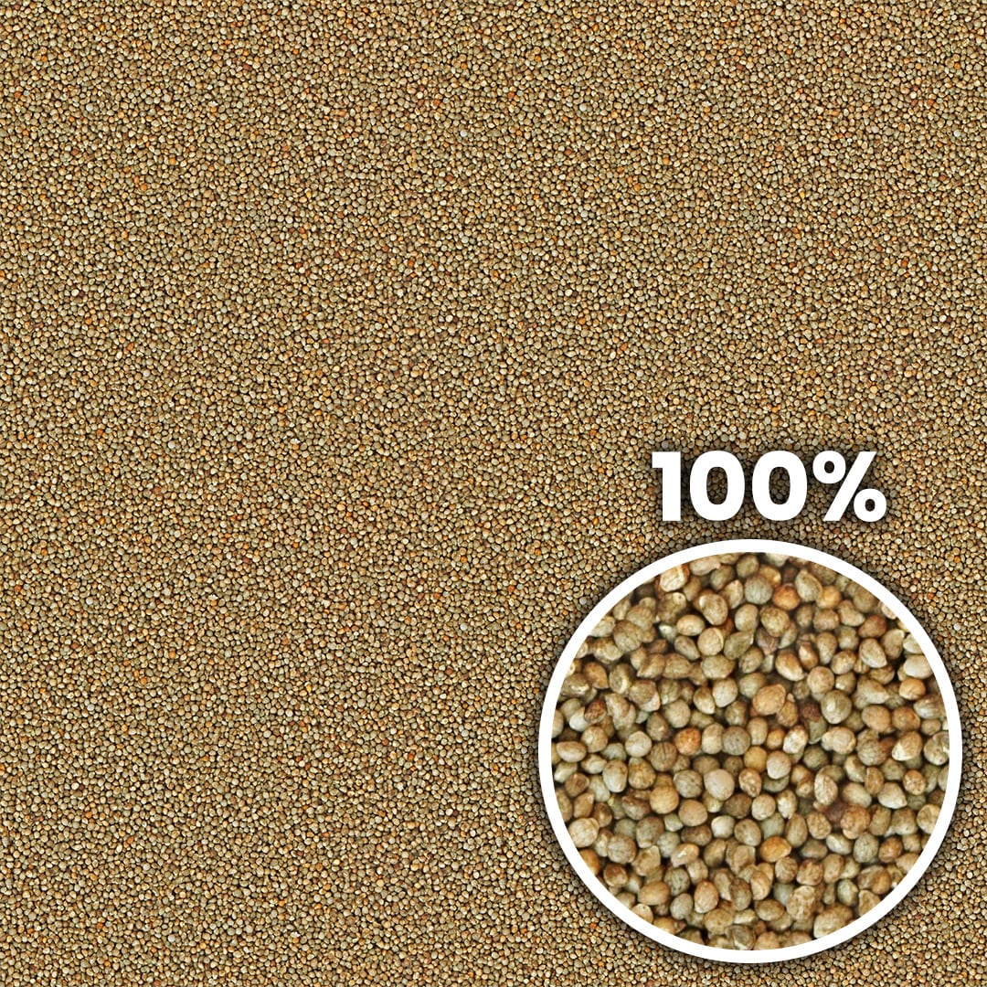 Tiling preview of perilla seeds