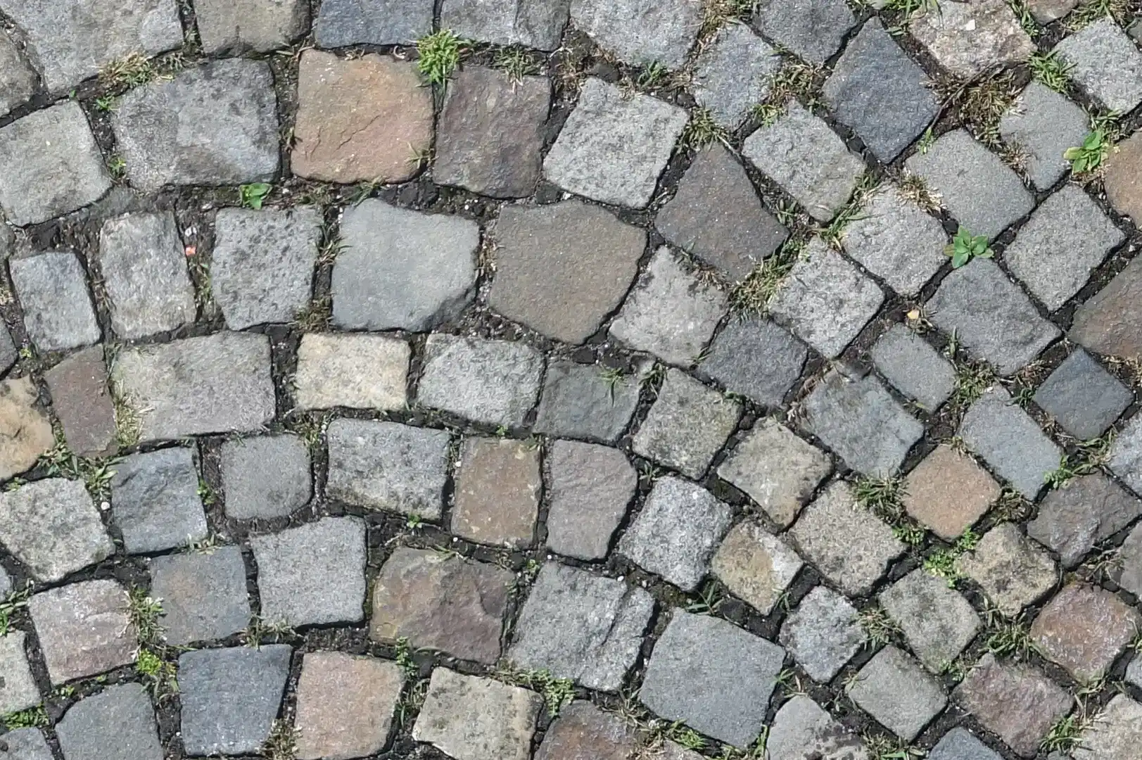 Close-up of a cobblestone pavement with earth and grass between the stones