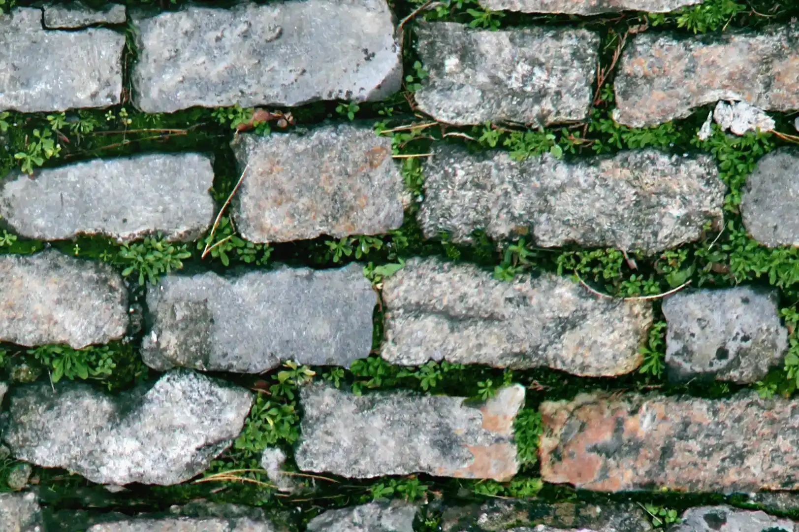 Close-up of a rectangular stone pavement with grass between the stones