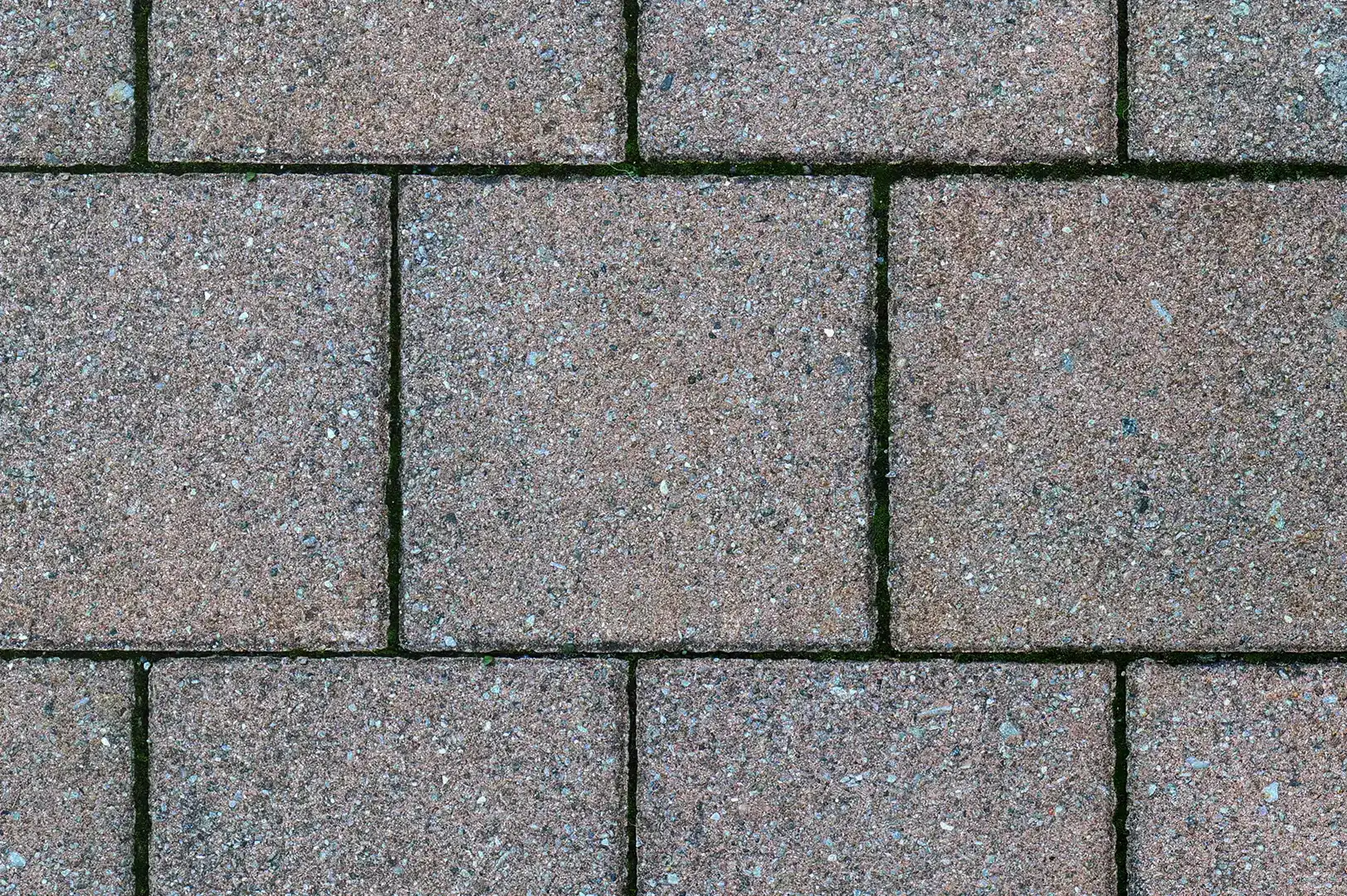 Close-up of a pathwalk with square concrete pavement