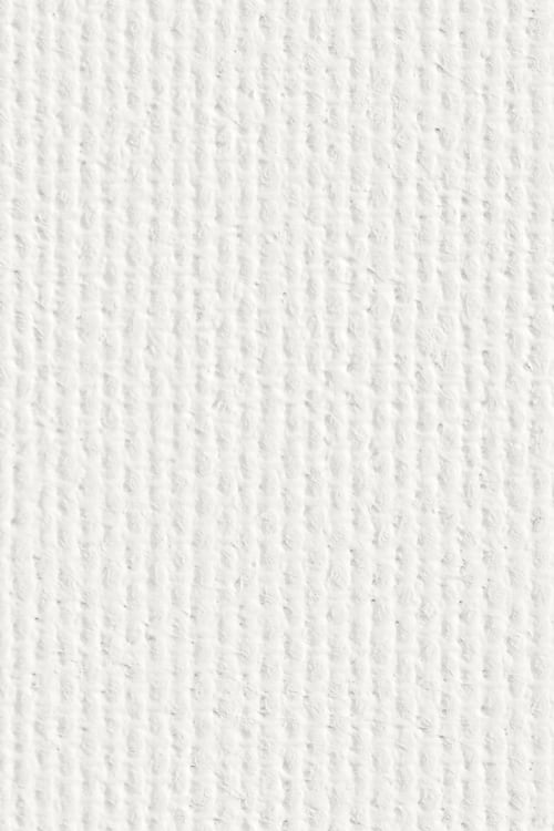 Canvas Seamless Texture