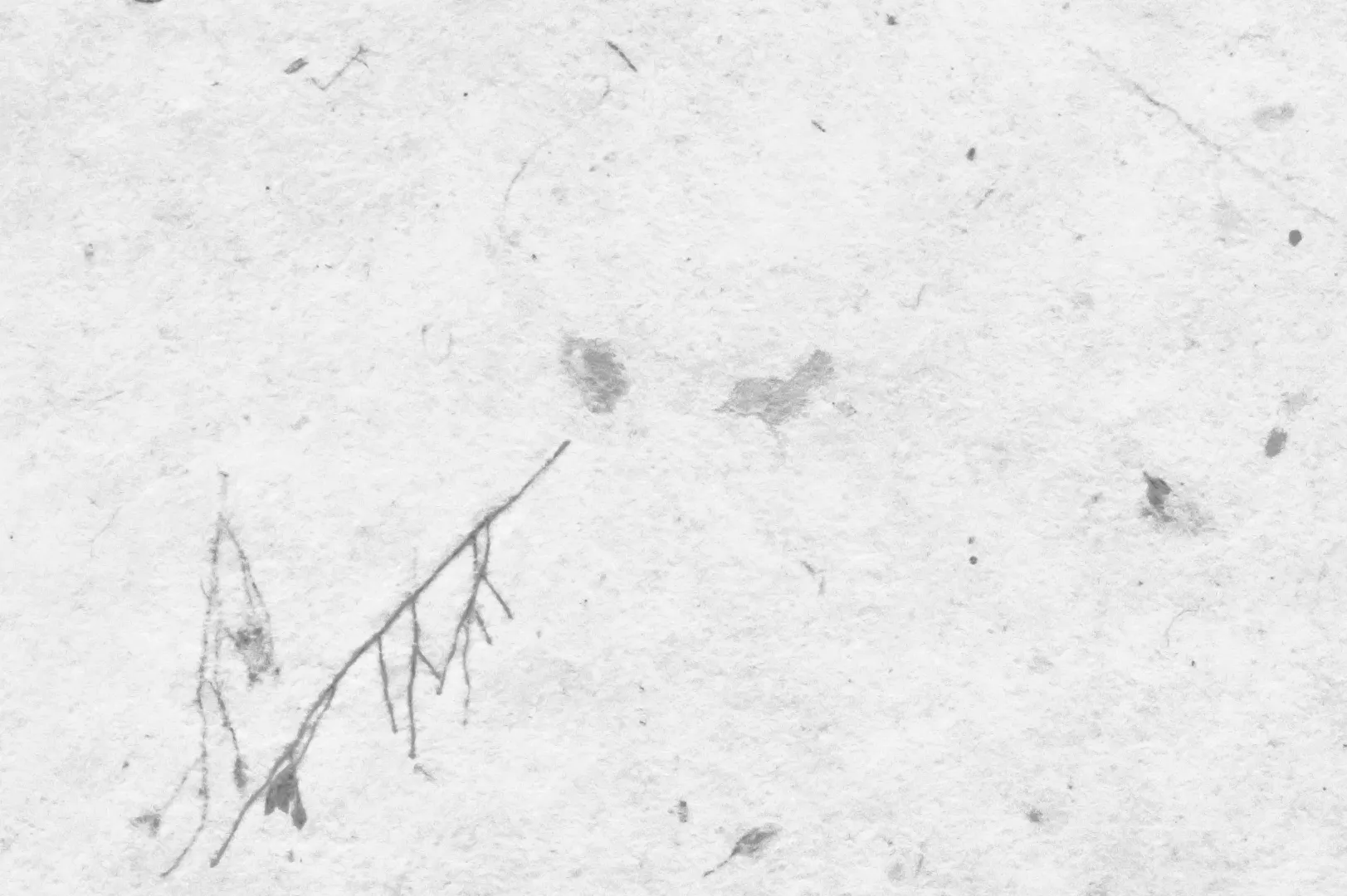 Close-up of a handmade paper with plant bits