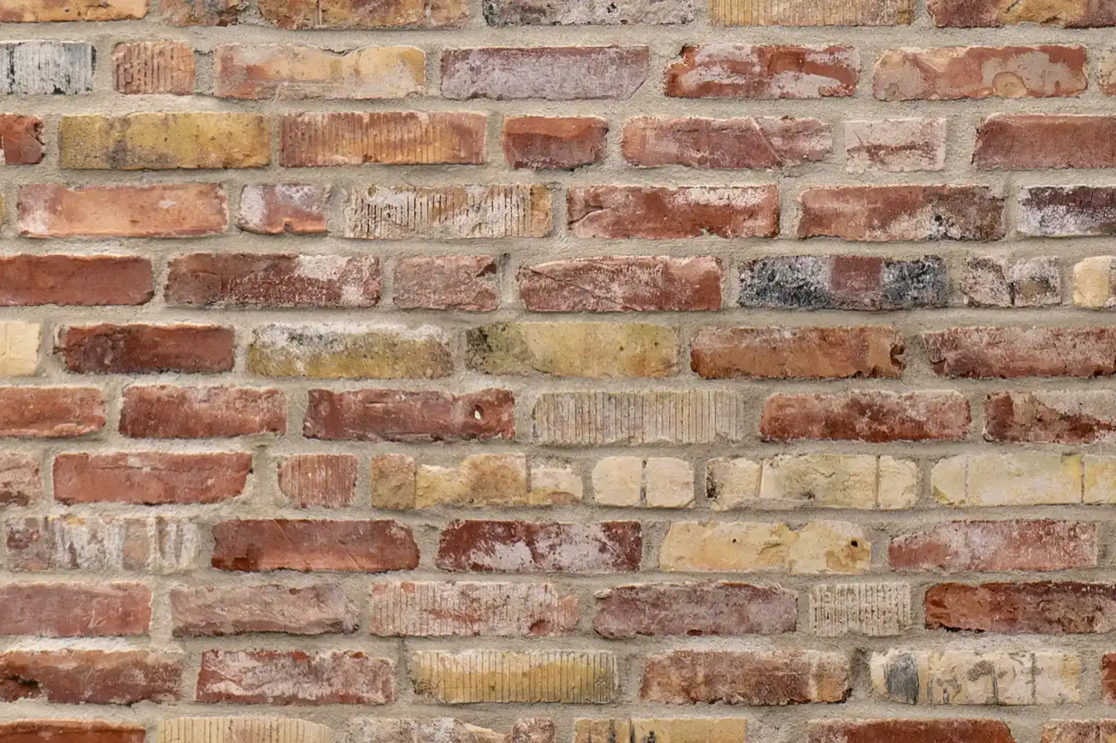 close-up of a brick wall with different bricks colored in ochre and brown