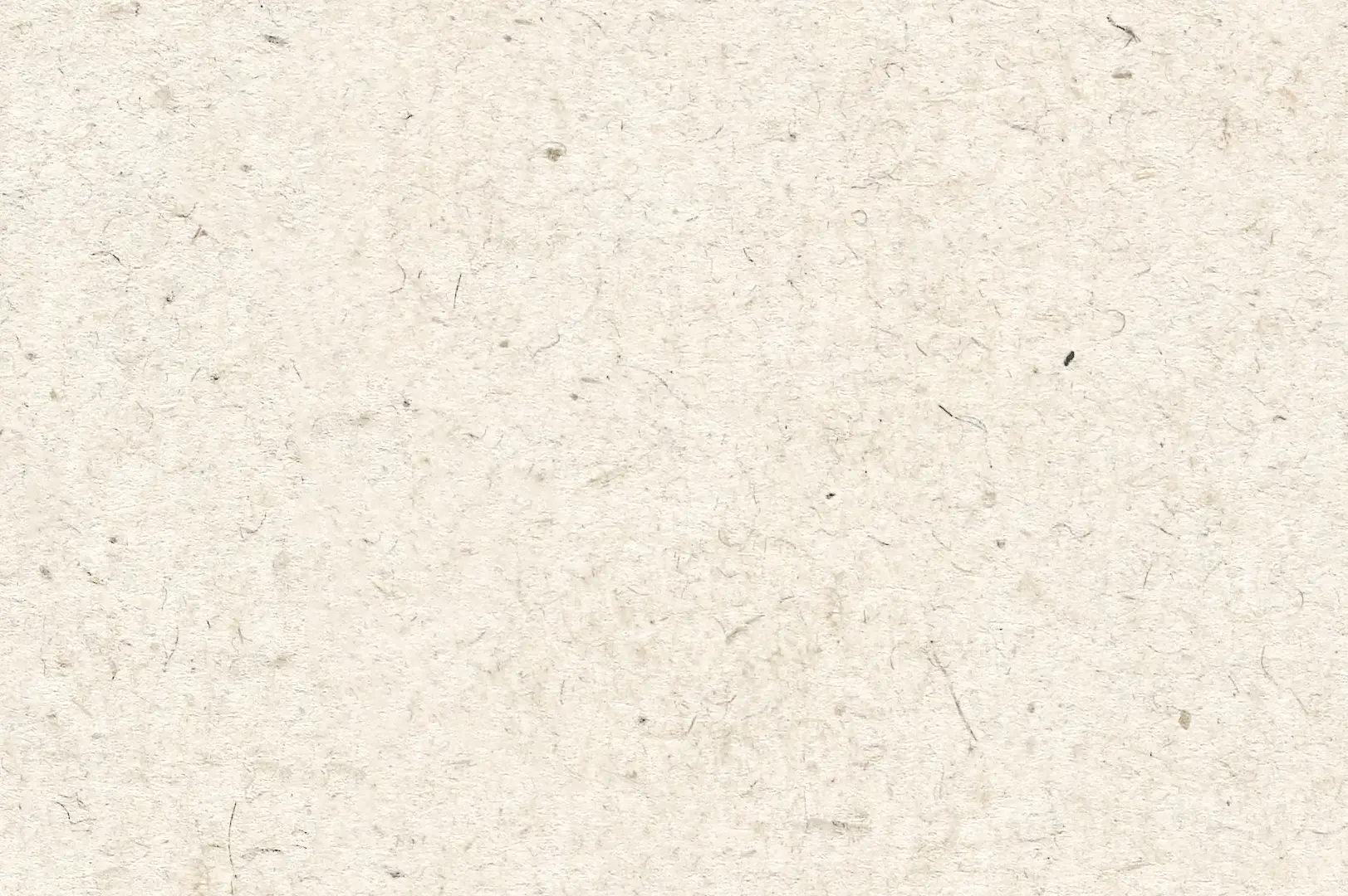 Close-up of an old white paper used by Rubens