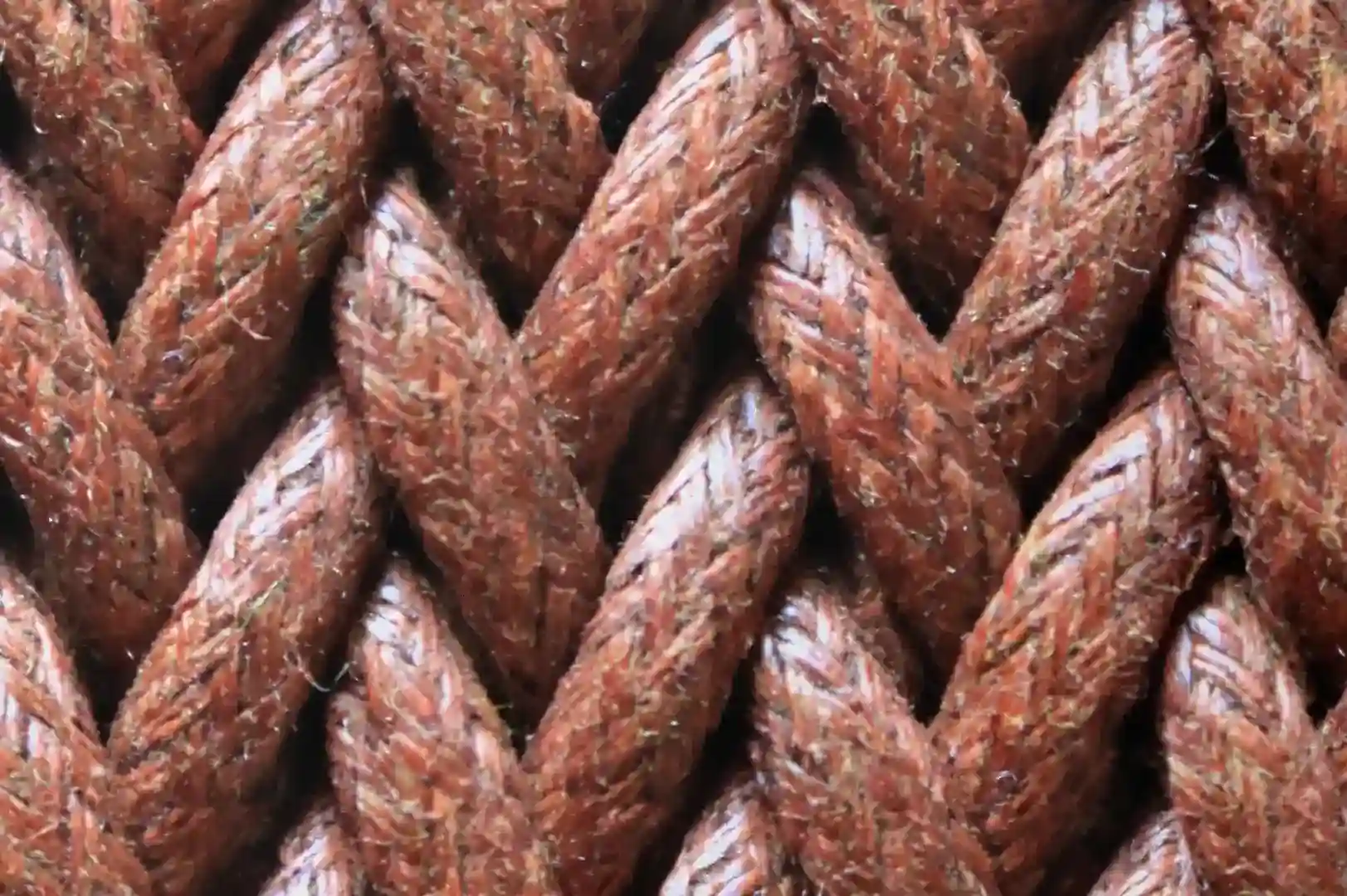 Close-up of a braided paracord belt